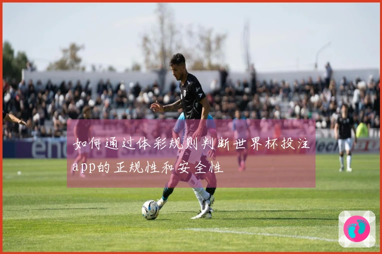 如何通过体彩规则判断世界杯投注app的正规性和安全性
