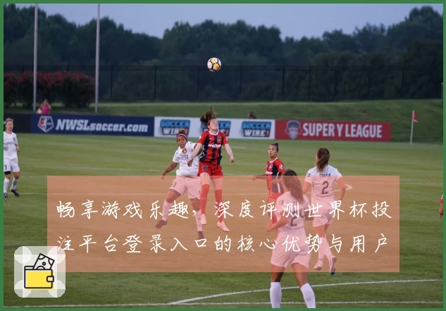 畅享游戏乐趣，深度评测世界杯投注平台登录入口的核心优势与用户体验