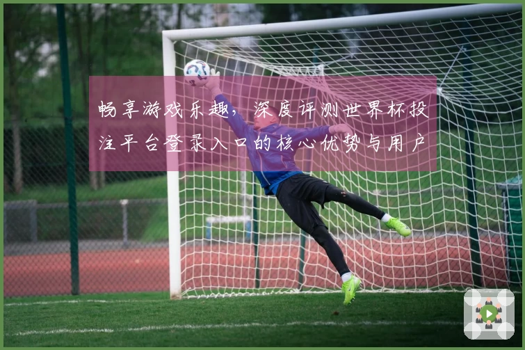 畅享游戏乐趣，深度评测世界杯投注平台登录入口的核心优势与用户体验