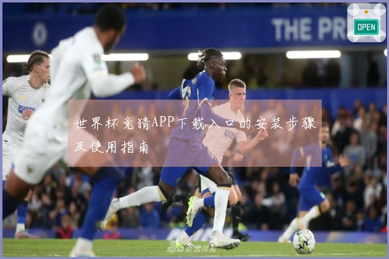 世界杯竞猜APP下载入口的安装步骤及使用指南
