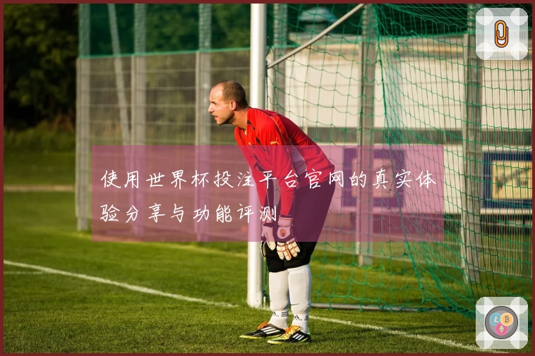 使用世界杯投注平台官网的真实体验分享与功能评测